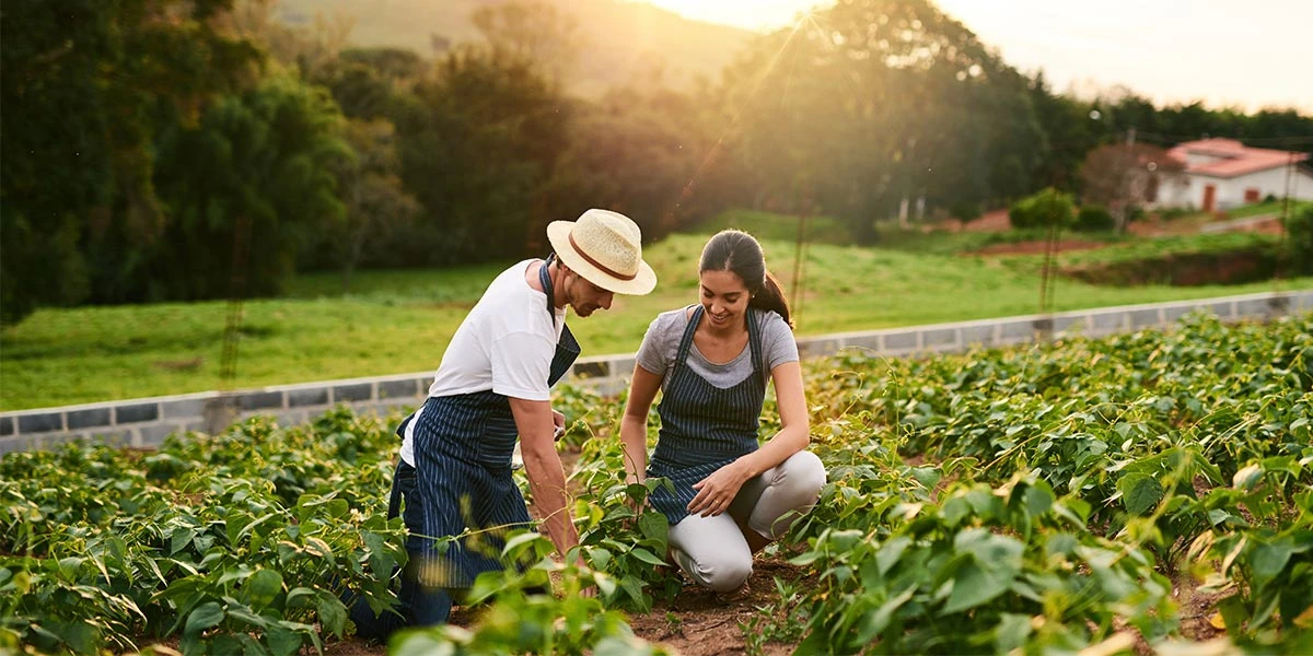 Understanding Organic Farming Fundamentals